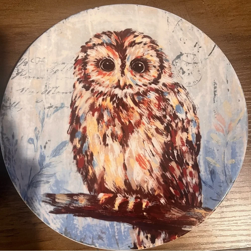 Pier 1 Imports White Ironstone Plate